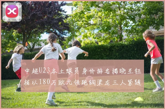 中超U23本土球员身价排名揭晓王钰栋以180万欧元领跑铜梁龙三人紧随其后