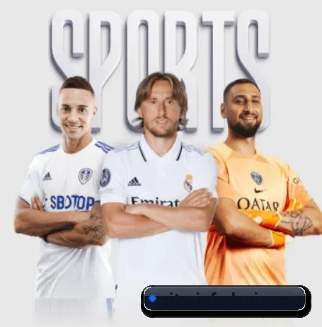 五大服务分区,信息按项目分类 - 多运动项目内容板块(bwin)